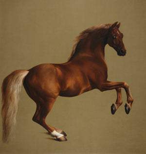 Museum Art Socks | George Stubbs