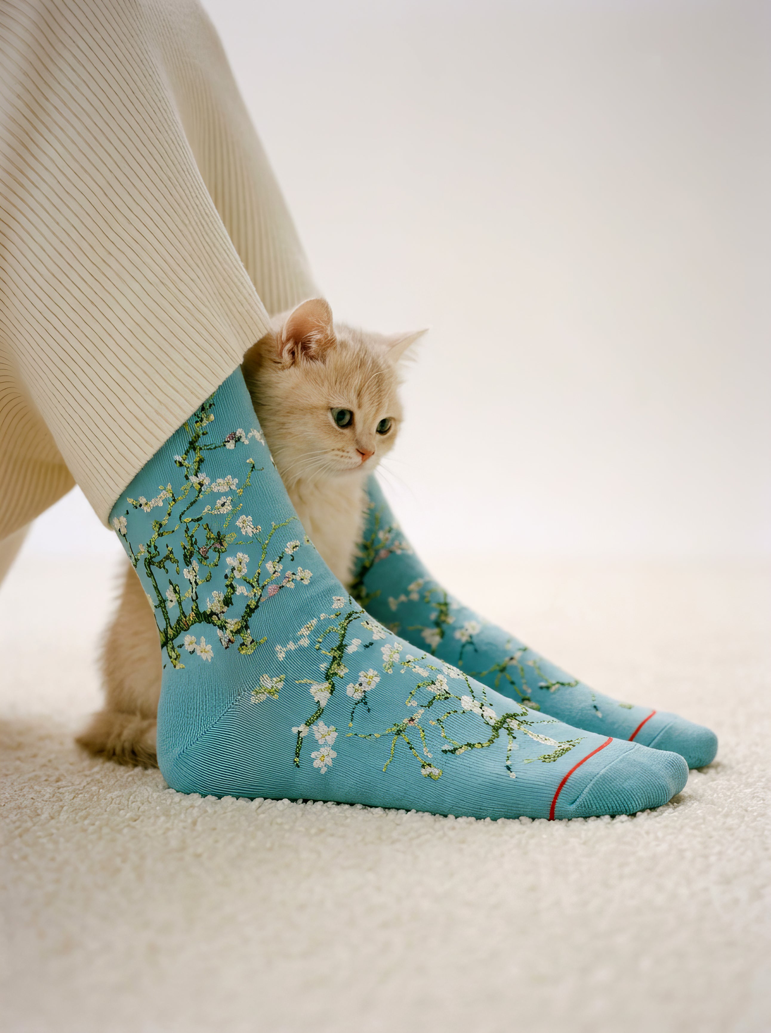 Van Gogh Almond Blossom art socks with white kitten – museum art gift from ArtyGifts
