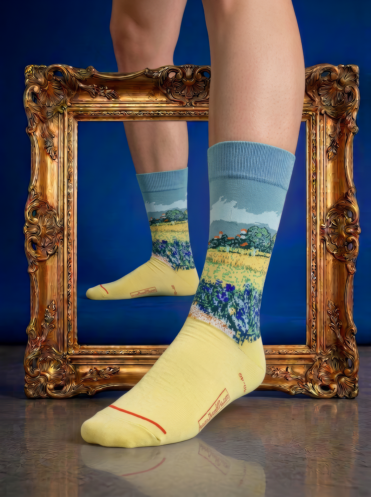 Field with Irises at Arles art socks styled in front of an ornate gold frame

