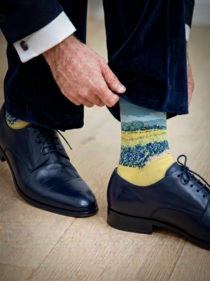 Field with Irises at Arles art socks worn with black leather shoes and navy trousers