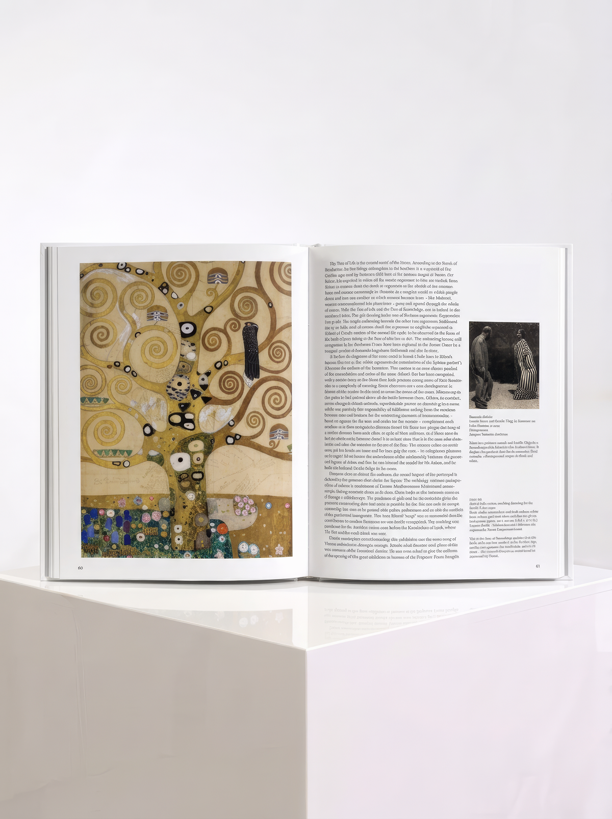 Open TASCHEN Klimt art book showing a golden tree with spiral branches on the left and text with a smaller illustration on the right.
