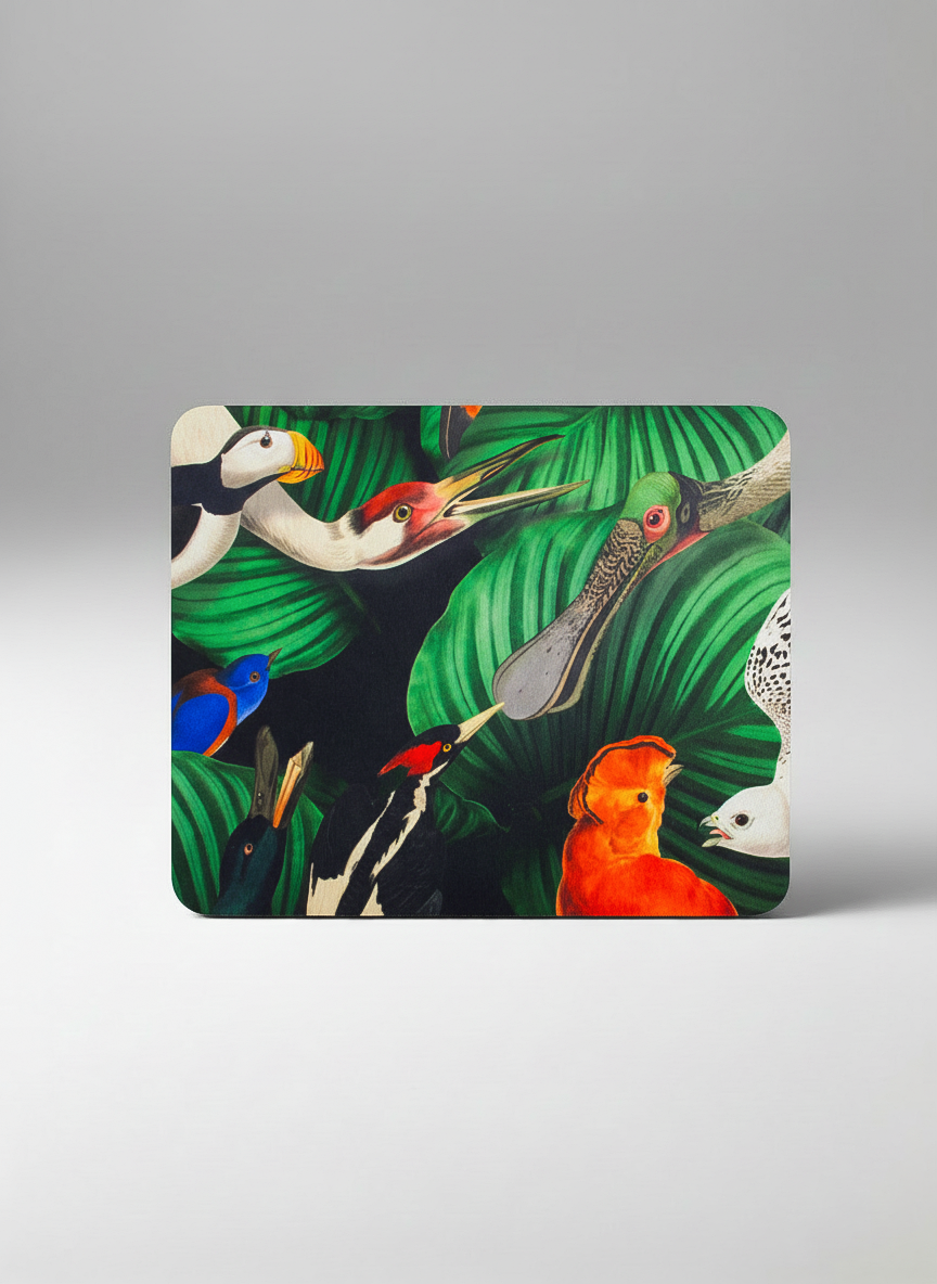 Mousepad Bird Life – displayed in museum shop | Teylers Museum x ArtyGifts
