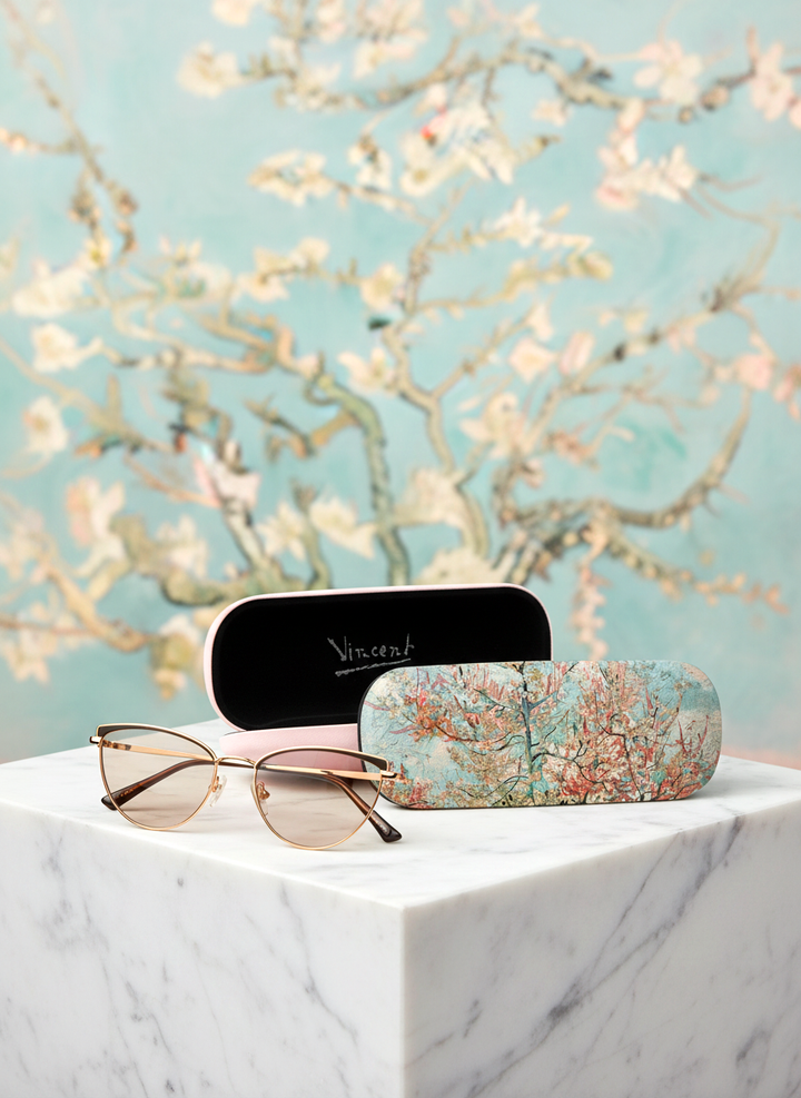 Spectacle Case Souvenir de Mauve Vincent van Gogh – displayed in museum shop | ArtyGifts
