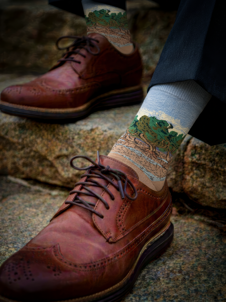 The Olive Trees art socks by Vincent van Gogh worn with brown leather lace-up shoes outdoors